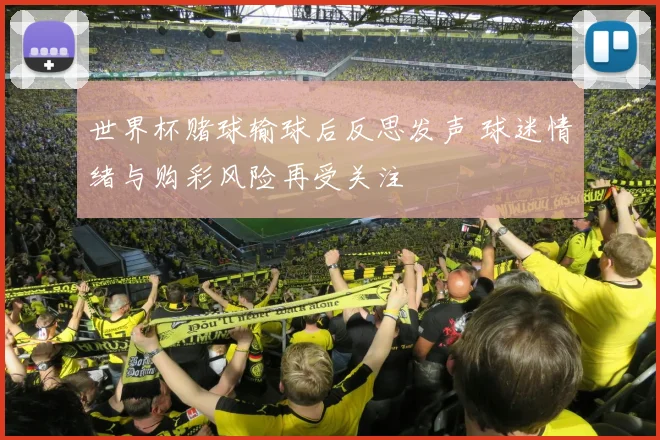 世界杯赌球输球后反思发声 球迷情绪与购彩风险再受关注