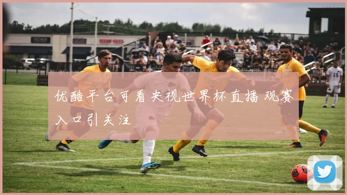 优酷平台可看央视世界杯直播 观赛入口引关注