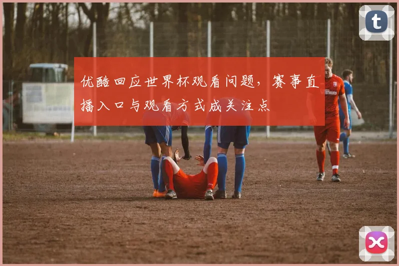 优酷回应世界杯观看问题,赛事直播入口与观看方式成关注点