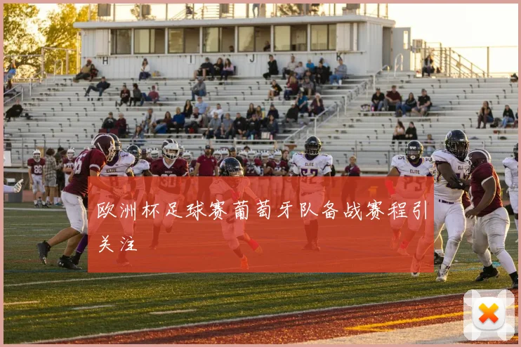 欧洲杯足球赛葡萄牙队备战赛程引关注