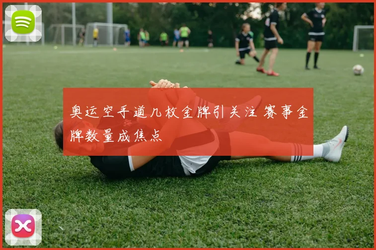 奥运空手道几枚金牌引关注 赛事金牌数量成焦点