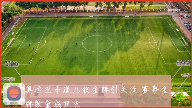 奥运空手道几枚金牌引关注 赛事金牌数量成焦点