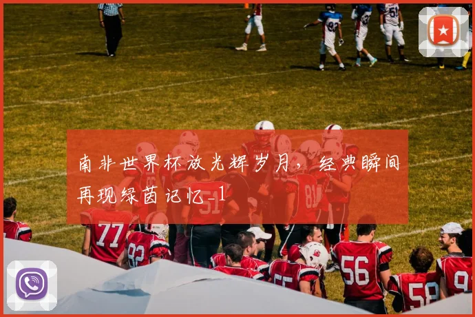 南非世界杯放光辉岁月，经典瞬间再现绿茵记忆_1