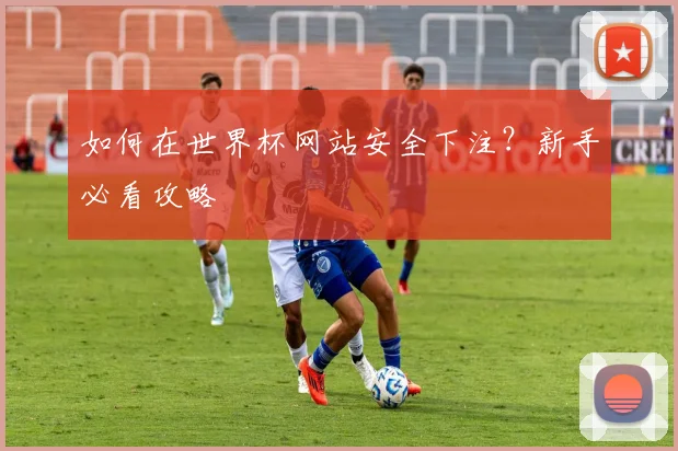 如何在世界杯网站安全下注？新手必看攻略