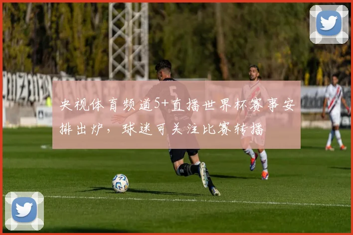 央视体育频道5+直播世界杯赛事安排出炉，球迷可关注比赛转播