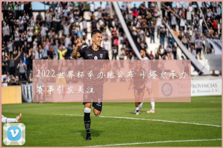 2022世界杯举办地公布 卡塔尔承办赛事引发关注